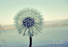 全世界最伤感的一句话(通用80句)