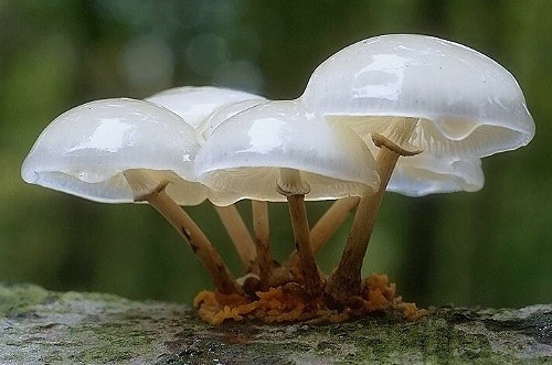 描写天气寒冷的精美语段(汇总48句)