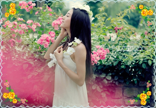 美好开始的说说句子(汇总55句) 美好开始的说说句子(汇总55句)