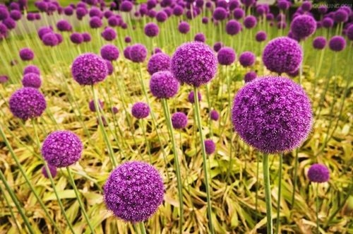 没有钱没有爱的说说(热门76句)