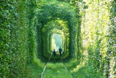 开心的句子说说心情(热门80句)