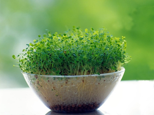 健康与美丽的正能量句子(实用80句) 健康与美丽的正能量句子(实用80句)