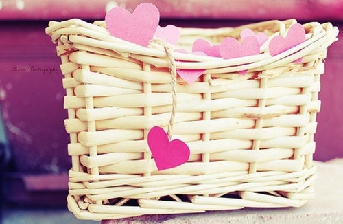 关于世界无车日的宣传语(实用113句)