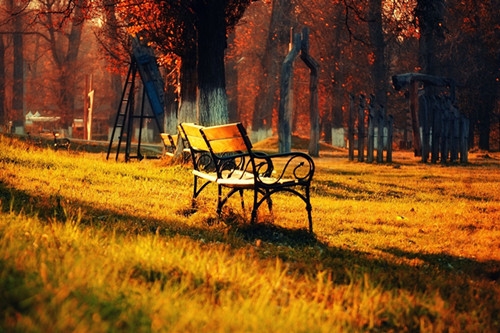 努力的心灵鸡汤短句(37句)