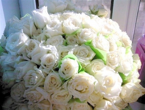 抖音能让人狂赞的句子(汇总224句)