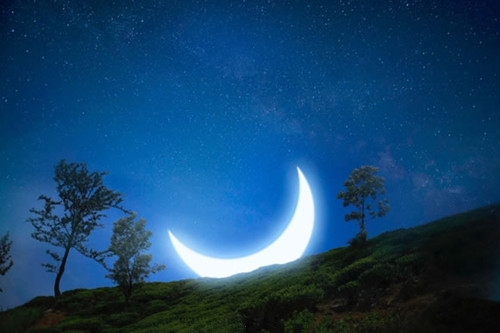 简单好记的运动会口号(通用212句)