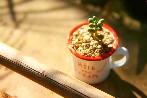 陪宝宝玩的心情说说(实用47句)