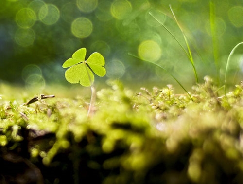 阴雨连绵的说说唯美句子(热门80句)