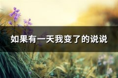 如果有一天我变了的说说(推荐49句)