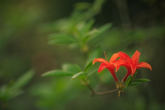 别让忙碌占据了生活的句子(热门80句)