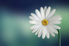 堵车发朋友圈说说(汇总92句)