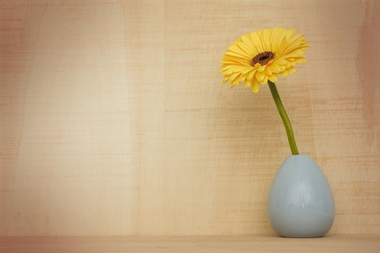 再美的花都会凋谢说说(精选42句)