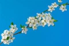 关于爱情的话说说(精选93句)