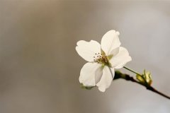 充满正能量的晚安心语(76句)