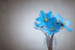 形容很想骂人心烦的句子说说(汇总65句)