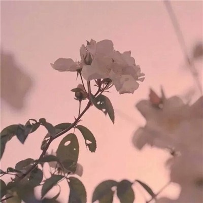女人好运平安吉利头像