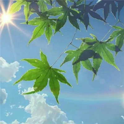 有品位的微信头像阳光(50张)