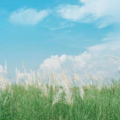 2023转运的微信头像(优选37张)