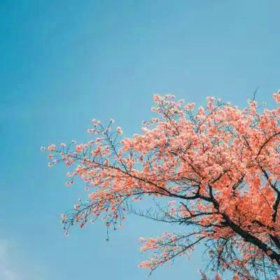 2023转运的微信头像(优选37张)