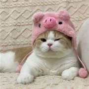 让人一看就心情好的头像(27张)