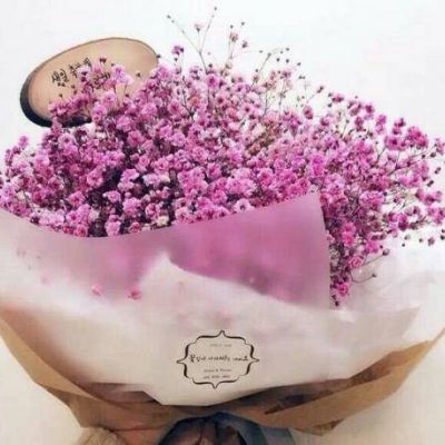 阳光鲜花头像唯美图片大全(共26张)
