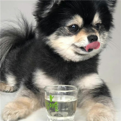 比较小众而且高级的头像(优选50张)