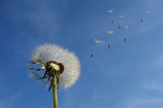 比较污的甜蜜情侣网名(精选62个)