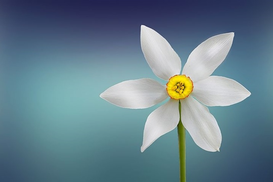 四个字带忧伤网名(791个)