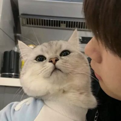 低调不像情头的好看头像(20张)