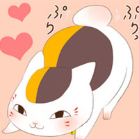 猫咪老师可爱头像(精选24张)