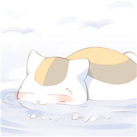 猫咪老师可爱头像(精选24张)