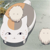 猫咪老师可爱头像(精选24张)