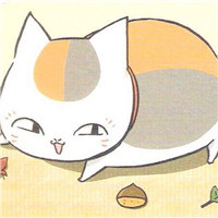 猫咪老师可爱头像(精选24张)