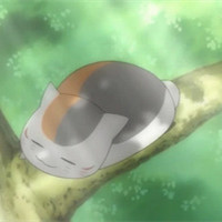 猫咪老师可爱头像(精选24张)