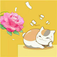 猫咪老师可爱头像(精选24张)