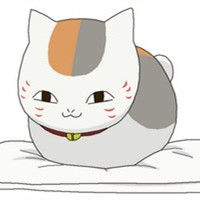 猫咪老师可爱头像(精选24张)