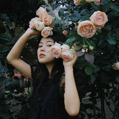 优雅又很舒心的女头合集(共32张)