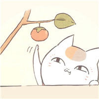 猫咪老师可爱头像(精选24张)