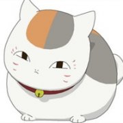 猫咪老师可爱头像(精选24张)