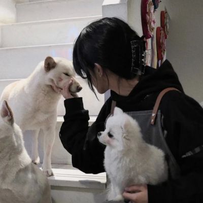 伤感唯美女生头像合集(精选34张)