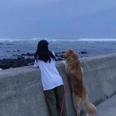 2023清新婉约的qq女生头像(共22张)