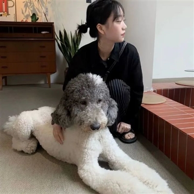 很优质的也很好看的美女微信头像(42张)