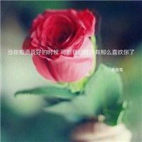 风景头像唯美小清新自然带字头像(精选22张)