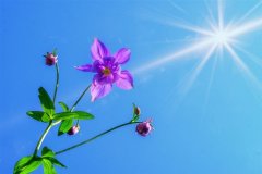 积极向上阳光的网名(精选204个)