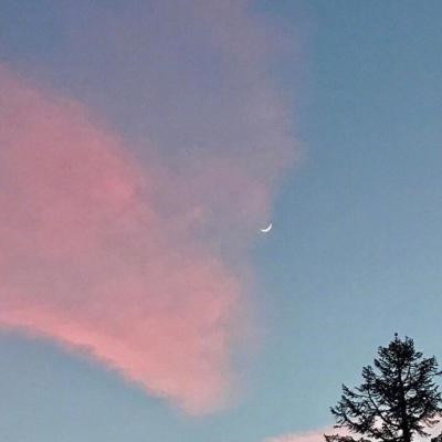 2023最旺好运微信头像(优选22张)