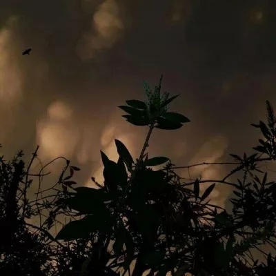 寓意好的风景微信头像图片(34张)
