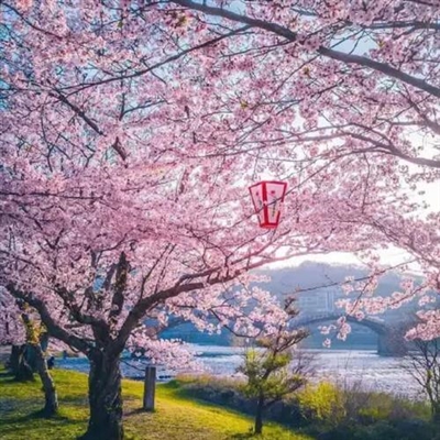 2023最精美风景头像(精选44张)