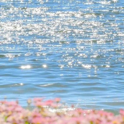 2023最火风景qq头像(50张)
