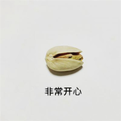 2023年最火文字头像(32张)