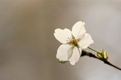 女人气质昵称霸气(精选136个)